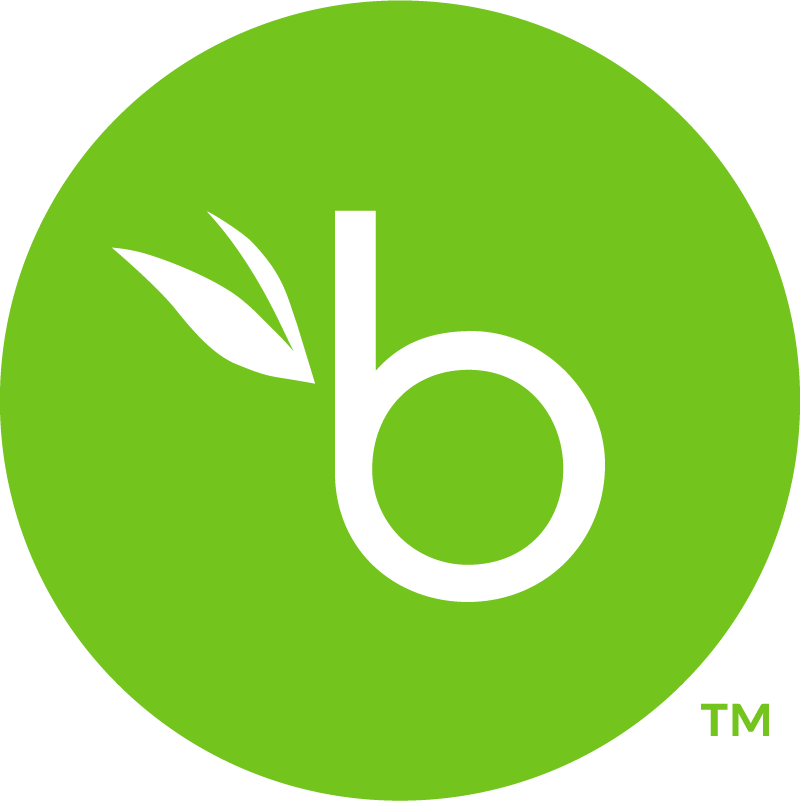 Bamboo HR Logo Icon